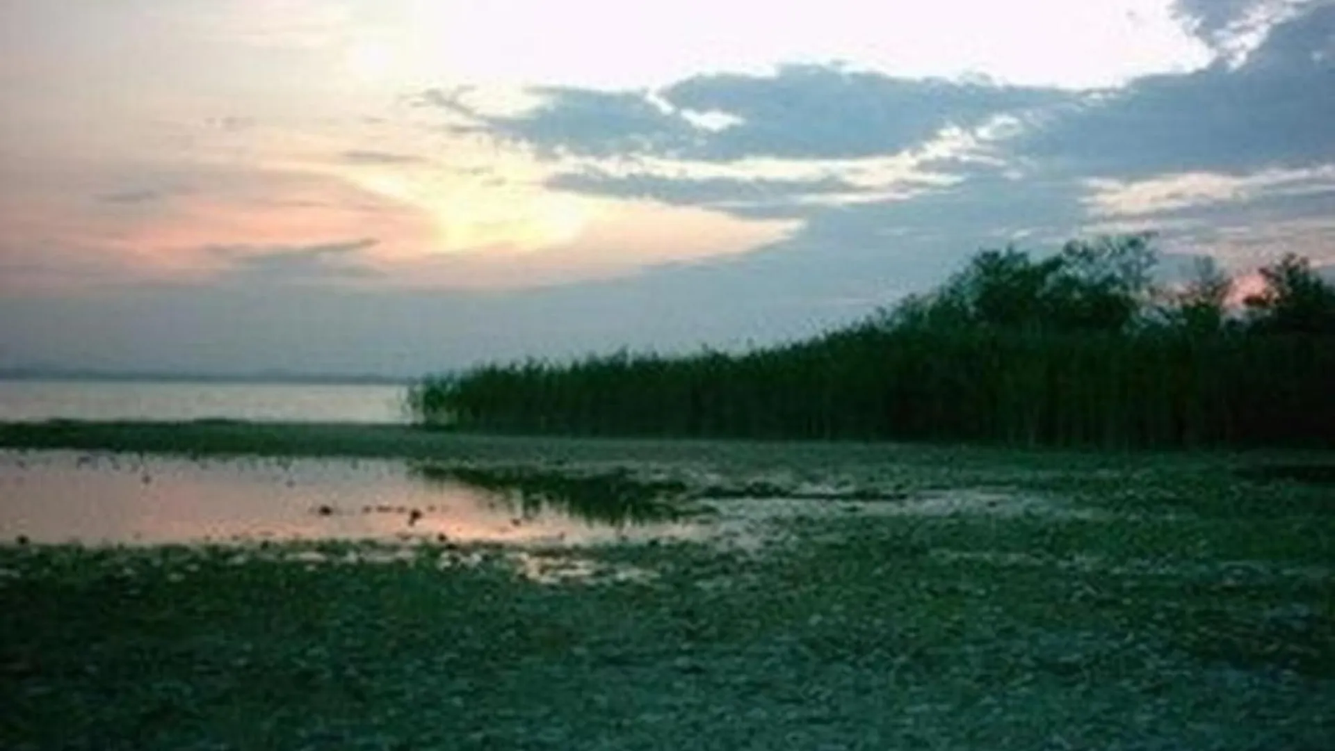 Forsthaus Am Chiemsee Chieming